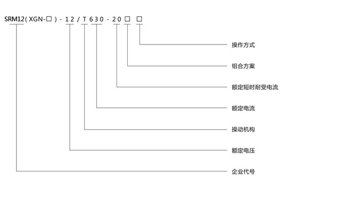 式電氣開關(guān)設(shè)備型號示意圖